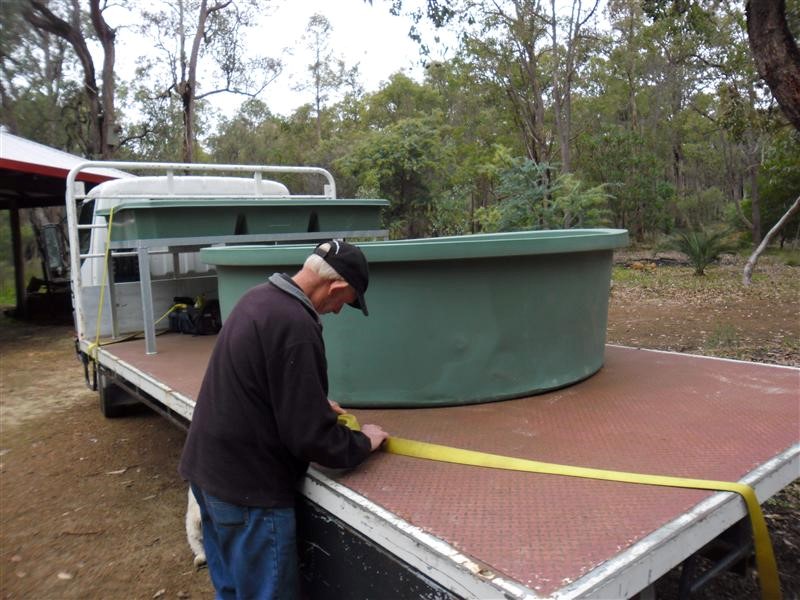 backyard aquaponics  install 12071303 (Custom).JPG