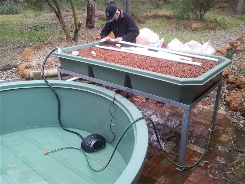 backyard aquaponics  install 12071301 (Custom).jpg