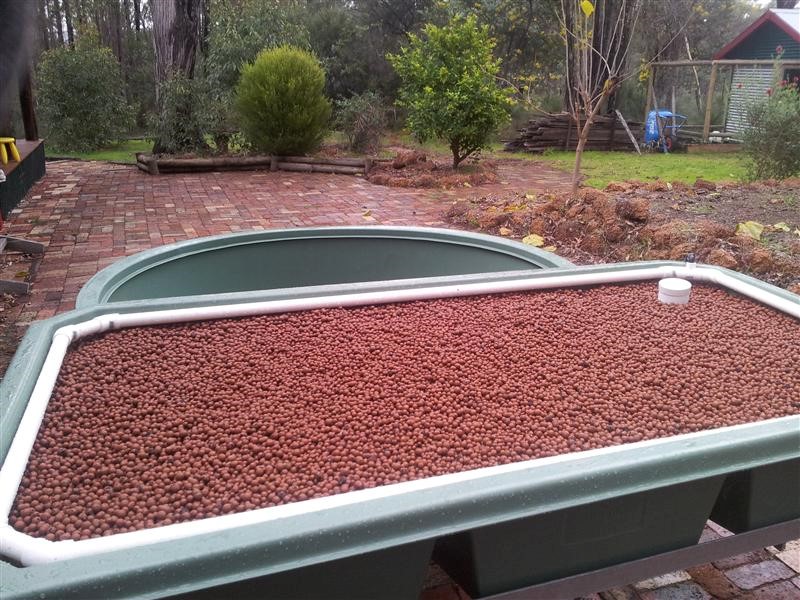 backyard aquaponics  install 12071301 (2) (Custom).jpg