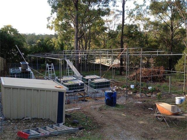 Progress 25.07.13_002.jpeg