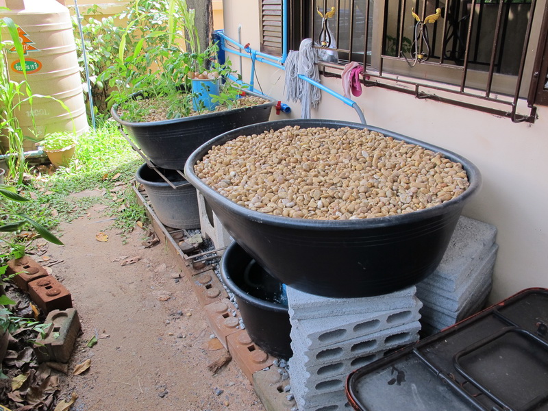 Aquaponics 2013 003.jpg