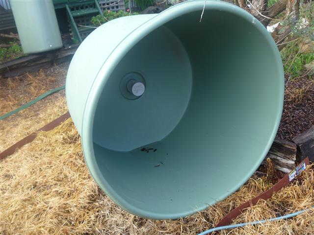 P1010378 (Small).JPG