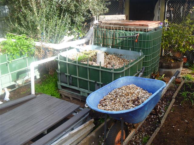 P1010381 (Small).JPG