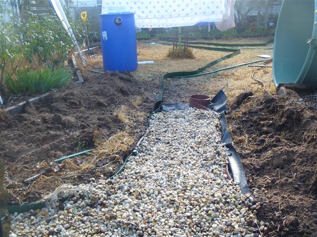 P1010382 (Small).JPG