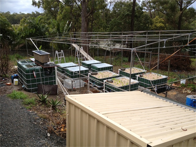 Progress 28.07.13_001.jpeg