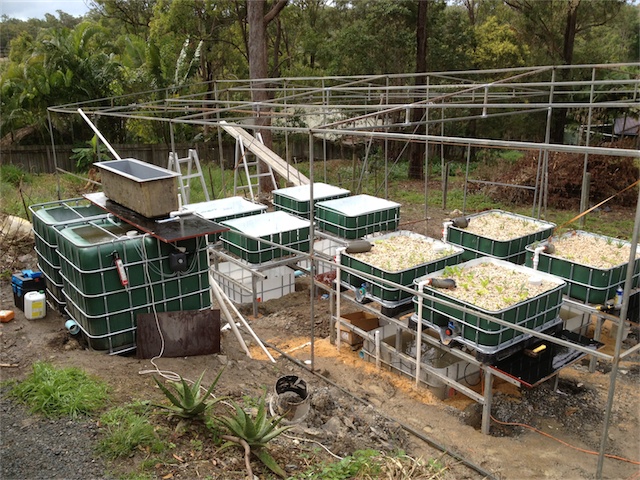 Progress 28.07.13_002.jpeg