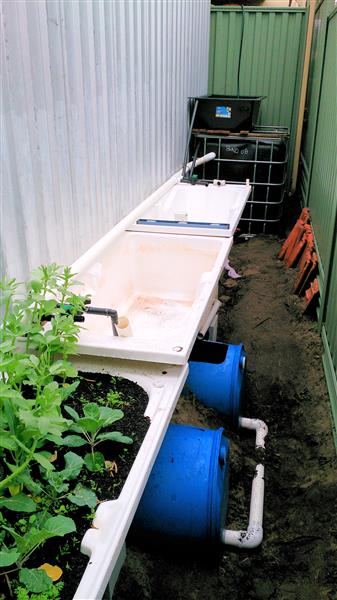 DSC_0006 (Custom).jpg