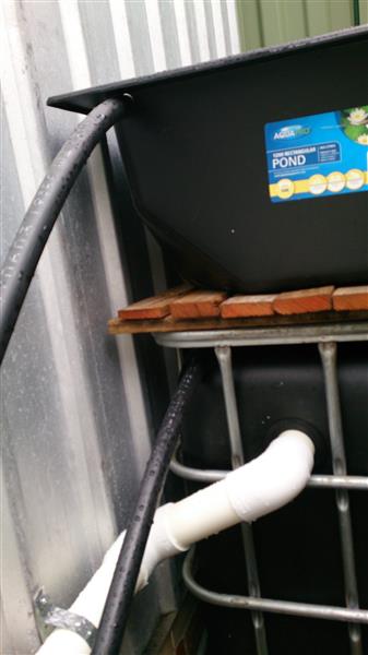 DSC_0005 (Custom).jpg