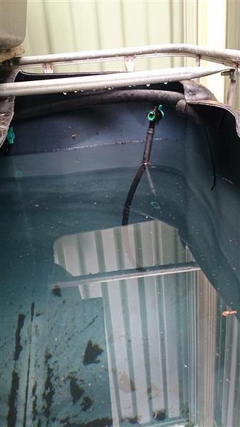 DSC_0004 (Custom).jpg