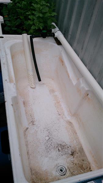 DSC_0002 (Custom).jpg