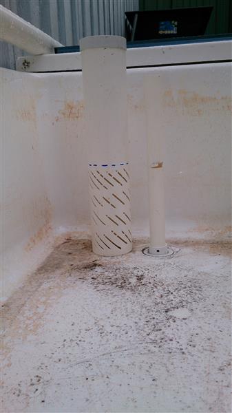 DSC_0010 (Custom).jpg