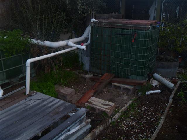 P1010392 (Small).JPG