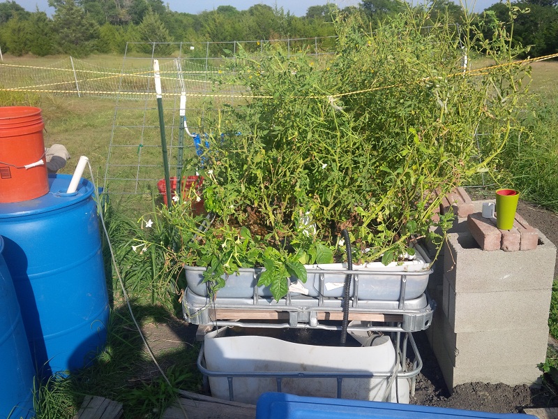 1st ap system front small.jpg