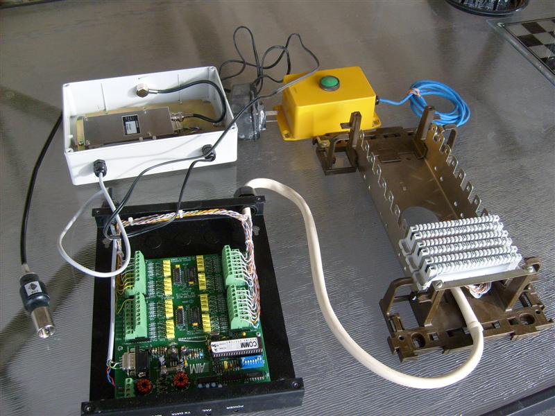 S6302947 (Medium).JPG