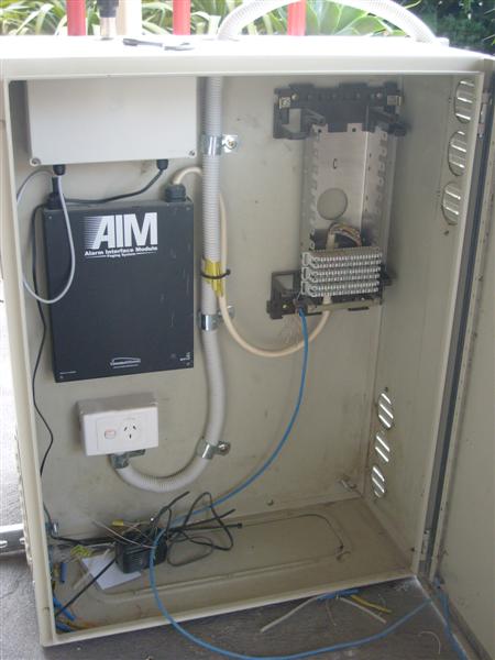 S6302941 (Medium).JPG