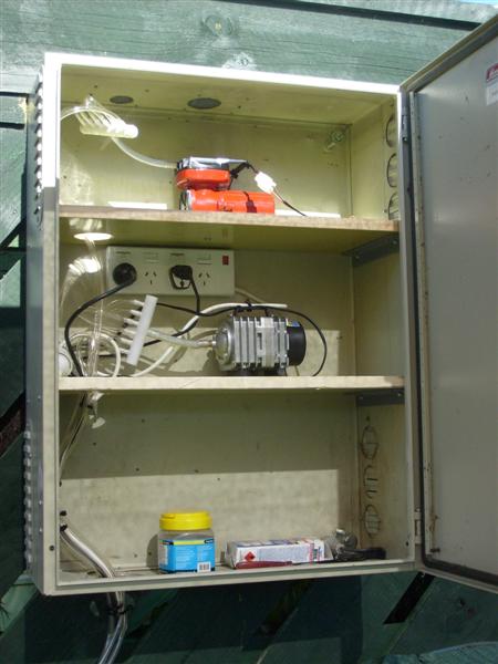 S6302992 (Medium).JPG