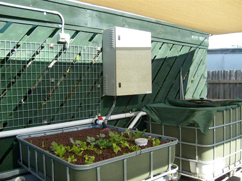 S6302989 (Medium).JPG