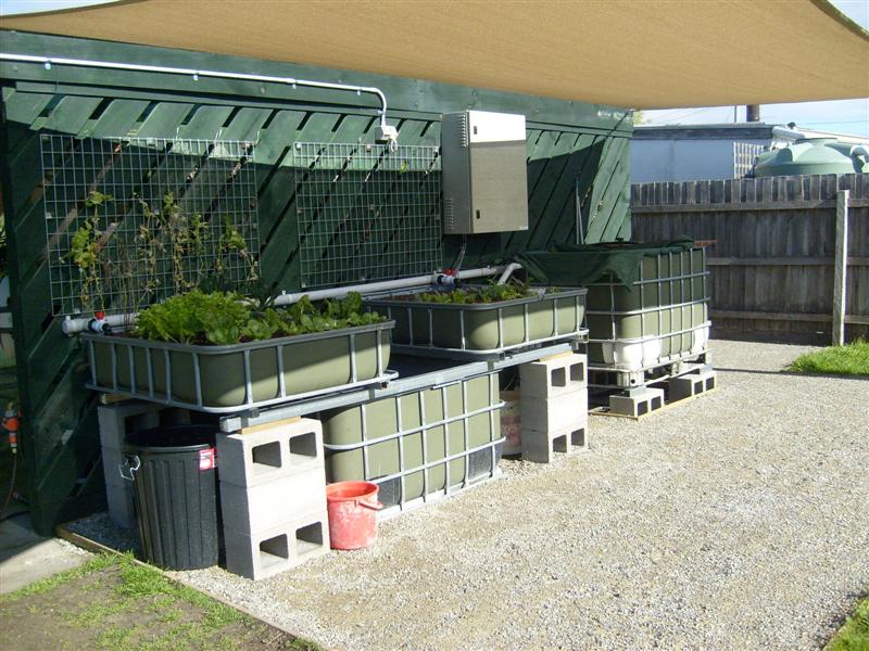 S6302988 (Medium).JPG