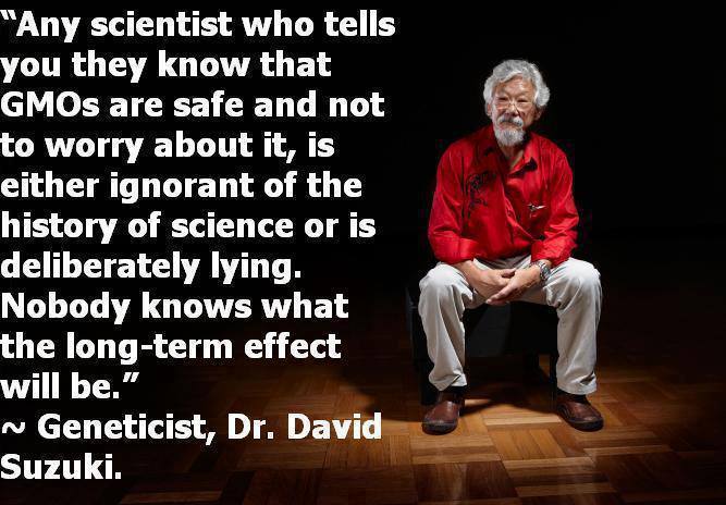 david suzuki quote.jpg