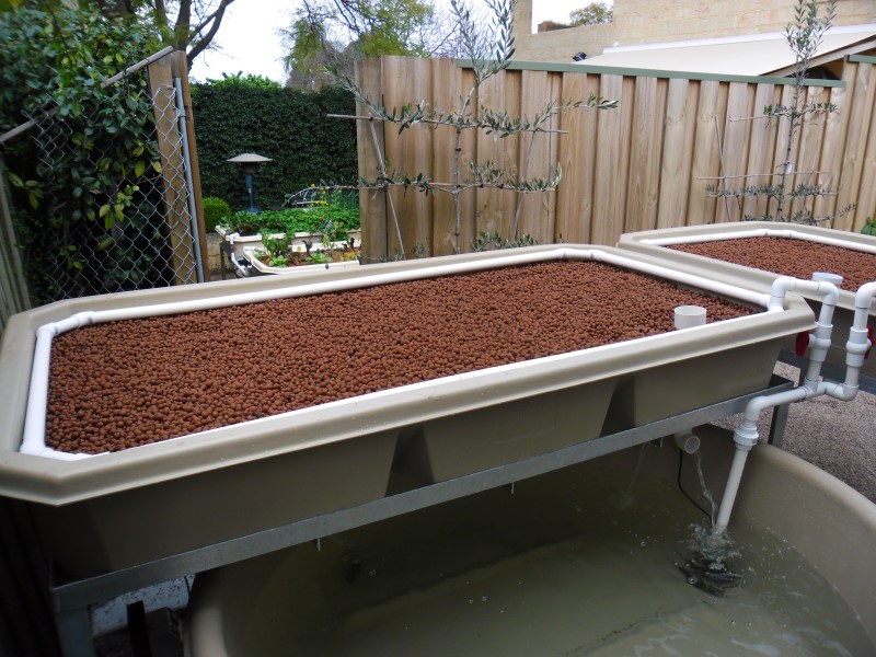 SAM_0111 (Custom).JPG