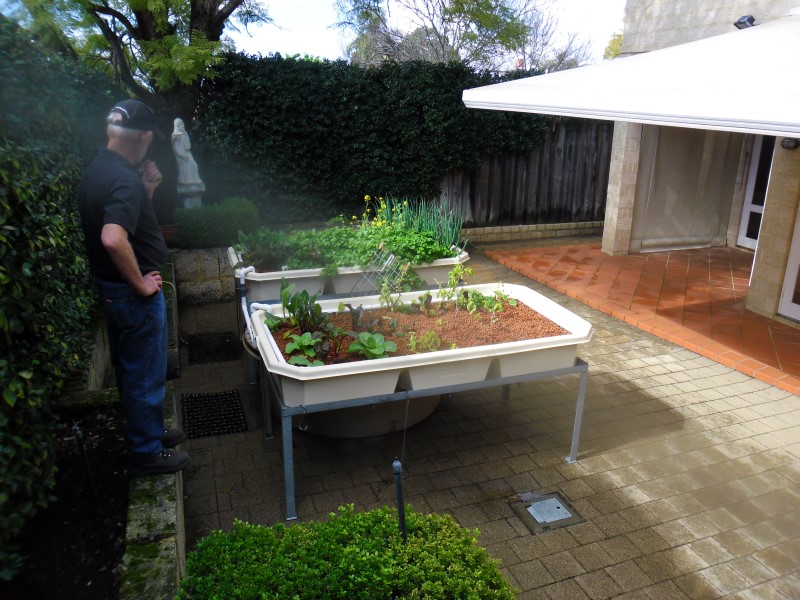 SAM_0095 (Custom).JPG