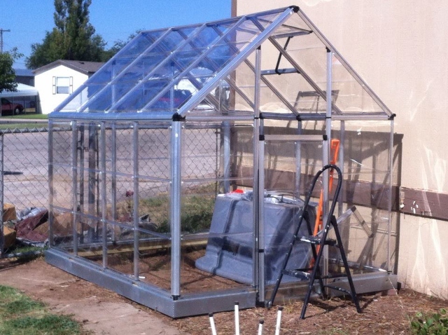 greenhouse (640x478).jpg