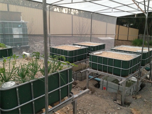 Progress S2 08.08.13_001.jpeg