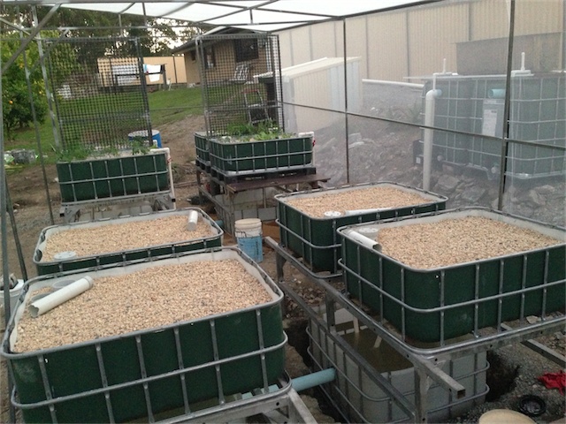 Progress S2 08.08.13_003.jpeg