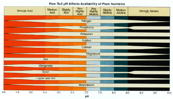 soilph.jpg