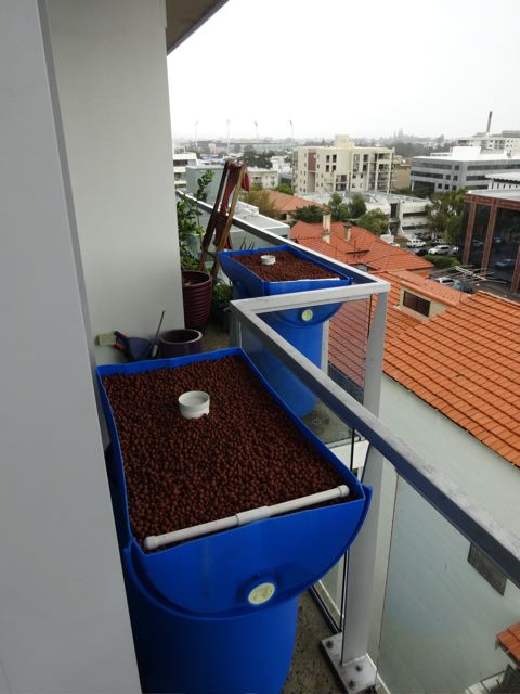 Backyard aquaponics Blue barrel  install 1.jpg