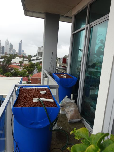 Backyard Aquaponics blue barrel install 2.jpg