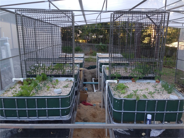 Progress 10.08.13_003.jpeg