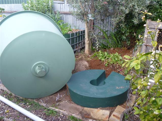 P1010410 (Small).JPG