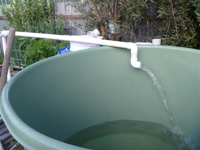 P1010412 (Small).JPG