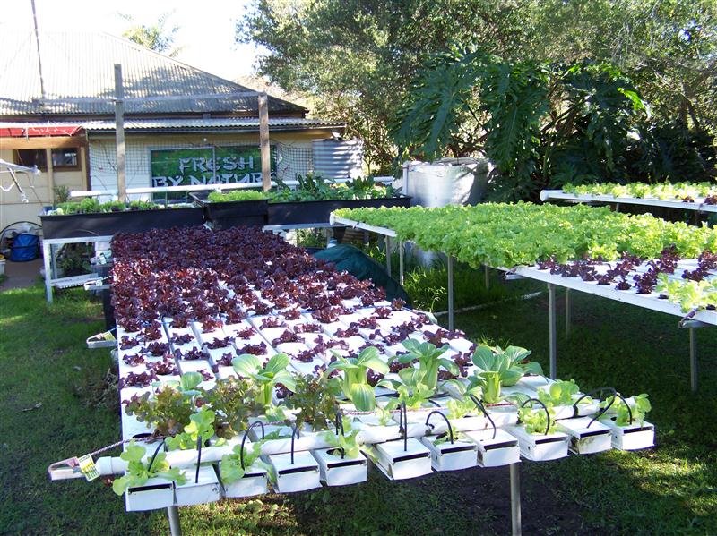 100_7206 (Custom).JPG