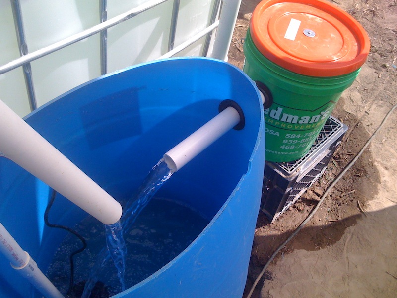 2013-08-12 15.55.40.jpg