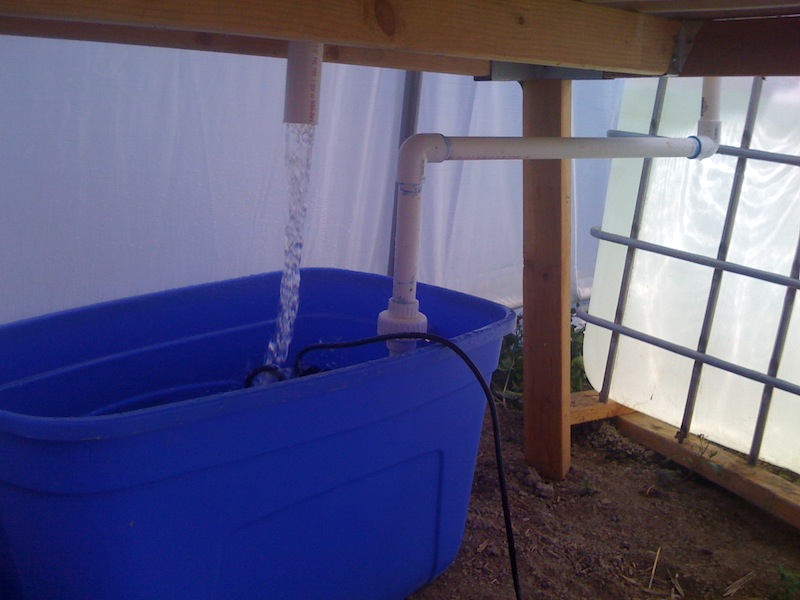 2013-08-12 15.52.53.jpg