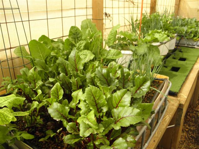 P8170067 (Small).JPG