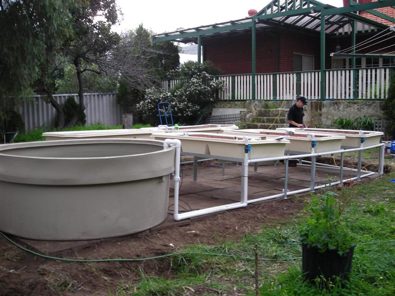 DSCN0125 (Medium).JPG