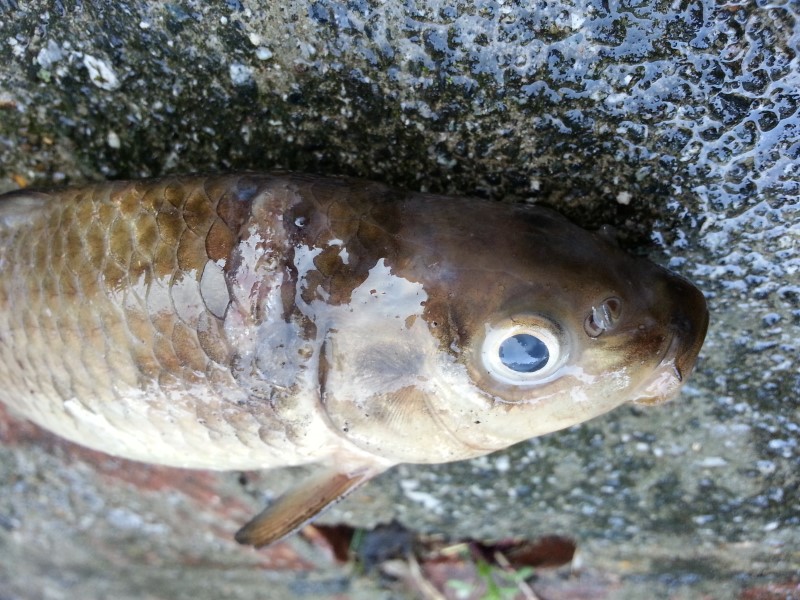 20130820_183931 (Custom).jpg