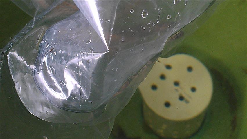 IMAG0316 (Small).jpg