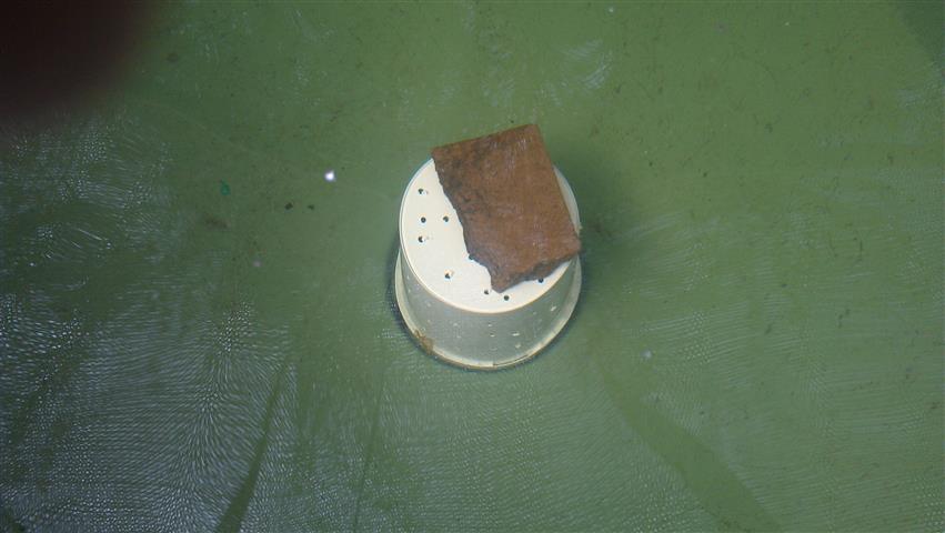 IMAG0318 (Small).jpg