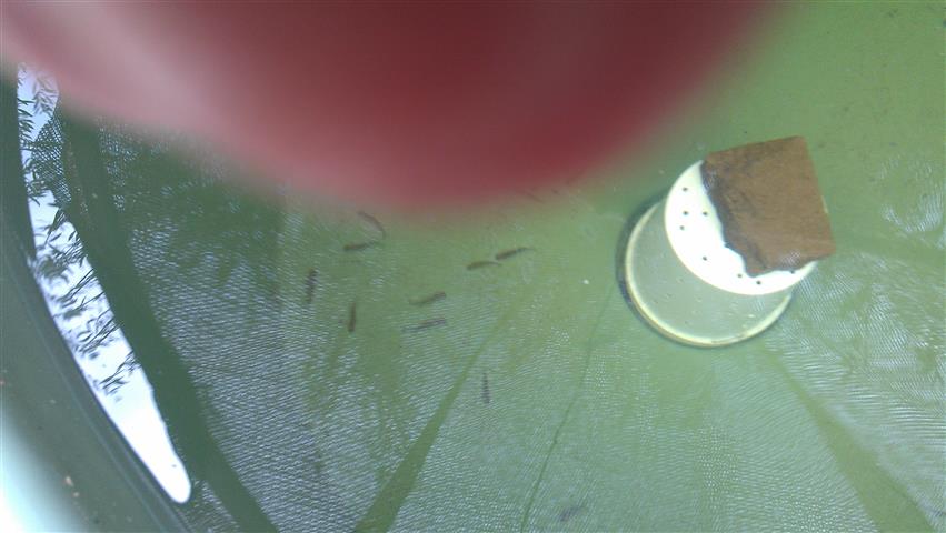 IMAG0319 (Small).jpg