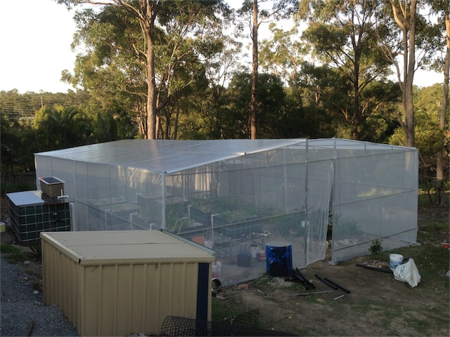 Progress 22.08.13_001.jpeg