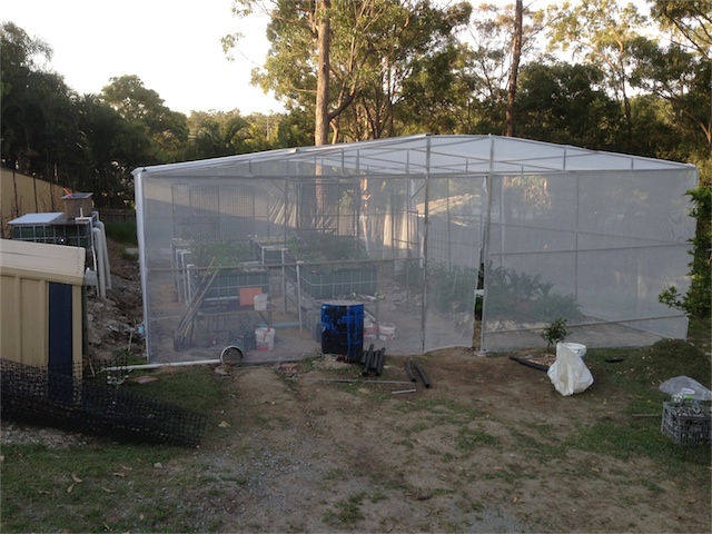 Progress 22.08.13_002.jpeg