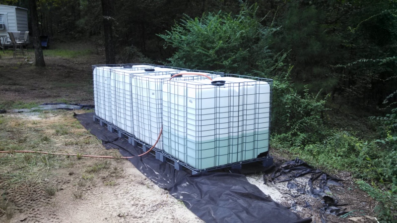 IMG_20130821_154416_870 (800x450).jpg