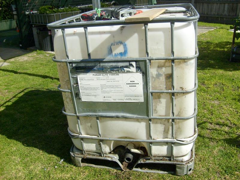 S6303041 (Medium).JPG