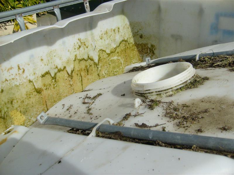 S6303047 (Medium).JPG