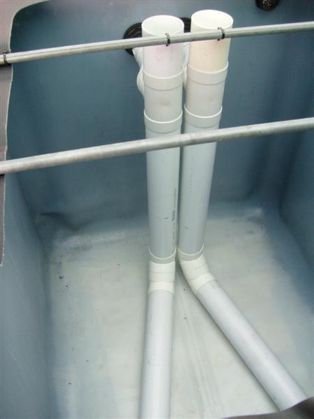 S6303085 (Medium).JPG