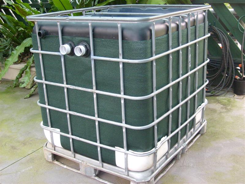 S6303090 (Medium).JPG